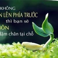 Đại Lý Sắt Vụn