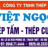 Việt Nguyễn đình việt