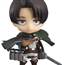 Levi