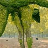 Ước về bờ