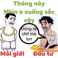 LD Hiệu