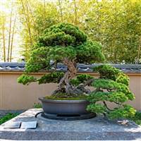 doanhuongg39@gmail.com