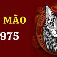 Hoàng Chí Bảo