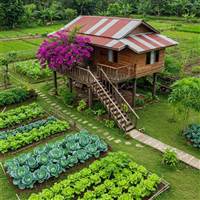 F0 Ko Chịu Lớn