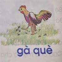 Gà què