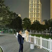 Trần tím lịm