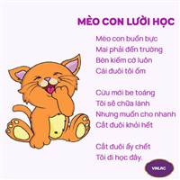 Cổ Đông Apec