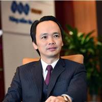 Các Chú Còn Non Và Xanh Lắm