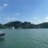 Mới Chơi Chứng Và Lỗ Hết Tiền