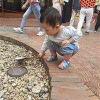 Nguyễn Hồng Lục