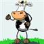 Funny TV