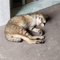 Trọng phước