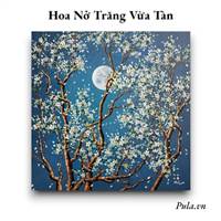 Ha Hoang