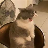 Tom