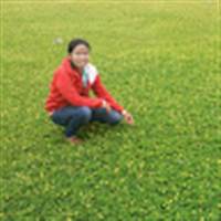 Nguyệt Lê