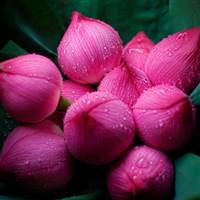 Nguyễn Thị Thùy Dương