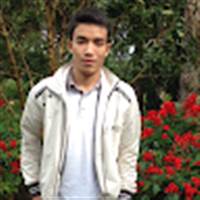 dinh hoang tran