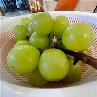 Đặt Niềm Tin Sai Chỗ