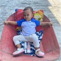 Gia Cát Lỗ