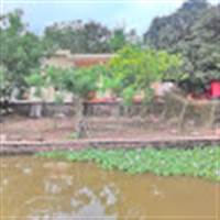 quang vu
