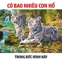 Loạn lạc