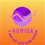 NuMiQa Stock