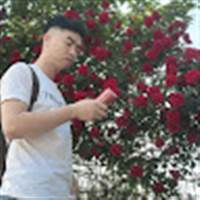 Tôi là CONAN Ánh hoa đào ánh dương