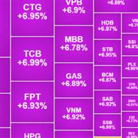 Nguyễn Văn Trần Tím