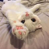 ミン トゥ