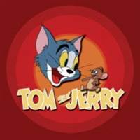 Tom Cat And Jerry Mouse