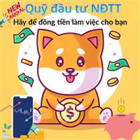 Quỹ đầu tư NĐTT(Nhà Đầu Tư Trẻ)