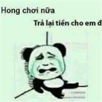 Dương ~ Đảo Chủ