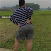 Chim Chích Bông