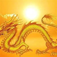 Chứng Sĩ Bán Đáy