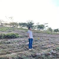 Huỳnh Nhật Huy