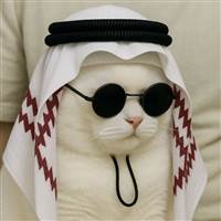 Lấy Chứng nuôi Coin