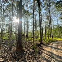 Tập Tành Đầu Tư