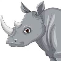 Rhino