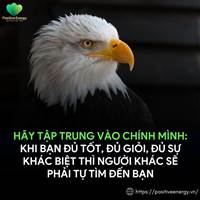 Mua Nền 