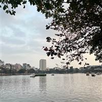 Cua Đồng