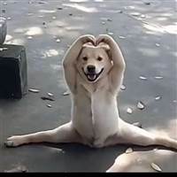 Đủ 3 tỷ đổi tên