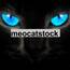 meocatstock