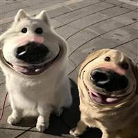 Đồng Tây