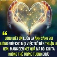 Gặp Em Ngày Nắng