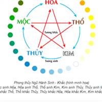 Toản-ssfg Mai Ngọc