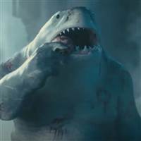 King shark