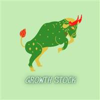 Growth Stock