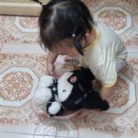 hà nhi