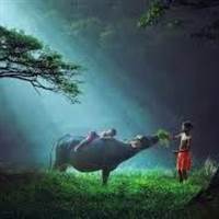 Đặng Pháp