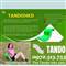 Tando Fitness Chair